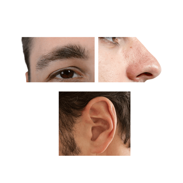 Men's Eyebrow + Nose + Ears at Bareline Aesthetics in Brea, CA